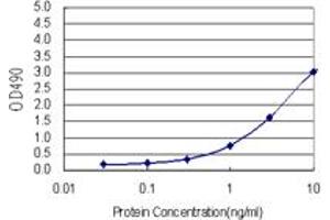 FABP1 (Human) Matched Antibody Pair