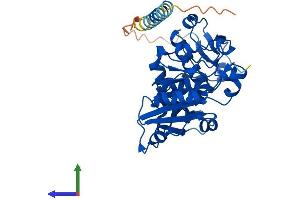 AlphaFold protein structure predicition of Human Recombinant FUT2 Protein, UniprotID Q10981