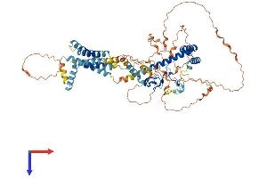 AlphaFold protein structure predicition of Human Recombinant TMEM201 Protein, UniprotID Q5SNT2