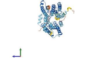 AlphaFold protein structure predicition of Mouse Recombinant Ankh Protein, UniprotID Q9JHZ2