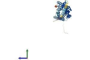 AlphaFold protein structure predicition of Mouse Recombinant Npy2r Protein, UniprotID P97295