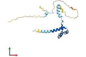 AlphaFold protein structure predicition of Human Recombinant HESX1 Protein, UniprotID Q9UBX0
