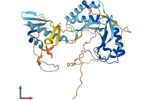 AlphaFold protein structure predicition of Human Recombinant ASCC1 Protein, UniprotID Q8N9N2