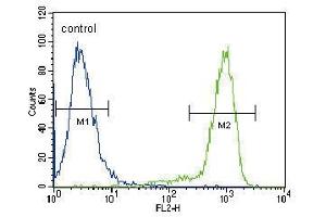 TRKA Antibody (Center) (ABIN392063 and ABIN2841826) flow cytometric analysis of Hela cells (right histogram) compared to a negative control cell (left histogram). (TRKA anticorps  (AA 654-683))