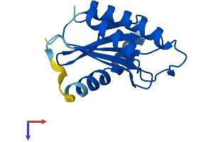 AlphaFold protein structure predicition of Human Recombinant TRAPPC2B Protein, UniprotID P0DI82