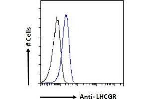 ABIN190901 Flow cytometric analysis of paraformaldehyde fixed Jurkat cells (blue line), permeabilized with 0.