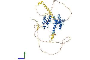 AlphaFold protein structure predicition of Mouse Recombinant Pax3 Protein, UniprotID P24610