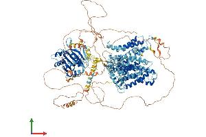 AlphaFold protein structure predicition of Mouse Recombinant Slc4a3 Protein, UniprotID P16283