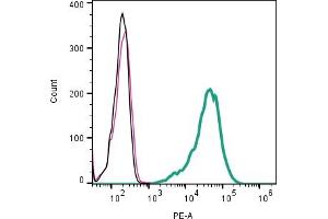 Cell surface detection of CD63 by direct flow cytometry in live intact mouse P815 mastocytoma cell line: + Rabbit IgG Isotype Control-PE.