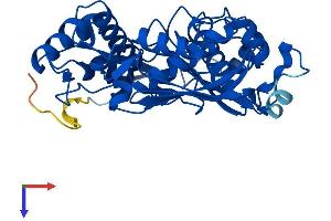 AlphaFold protein structure predicition of Human Recombinant MAT2A Protein, UniprotID P31153