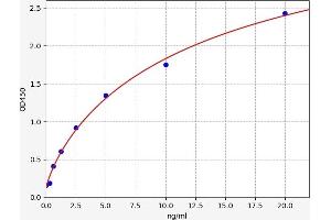 Typical standard curve (ERAP1 Kit ELISA)