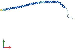 AlphaFold protein structure predicition of Human Recombinant ATP6V1G3 Protein, UniprotID Q96LB4