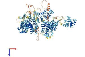 AlphaFold protein structure predicition of Mouse Recombinant Nlrp1b Protein, UniprotID Q2LKV5