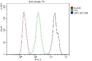 Flow Cytometry analysis of HepG2 cells using anti-UBR2 antibody (ABIN7599609). (UBR2 anticorps  (AA 10-664))