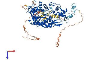 AlphaFold protein structure predicition of Mouse Recombinant Trmt1 Protein, UniprotID Q3TX08