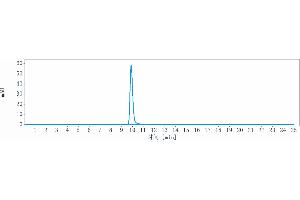 The purity of Anti-TNFRSF10B / TRAILR2 / CD262 Reference Antibody (drozitumab) is 99.