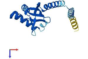 AlphaFold protein structure predicition of Human Recombinant POP5 Protein, UniprotID Q969H6