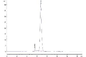 The purity of Biotinylated SARS-COV-2 Spike RBD is greater than 95 % as determined by SEC-HPLC.