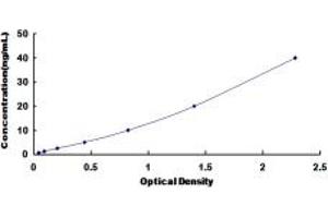 Typical standard curve (HFE2 Kit ELISA)