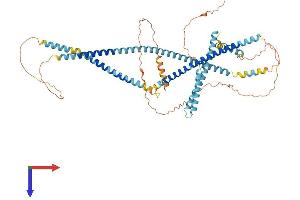 AlphaFold protein structure predicition of Mouse Recombinant Tsks Protein, UniprotID O54887