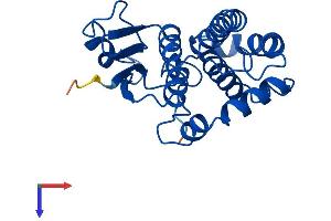 AlphaFold protein structure predicition of Human Recombinant GSTM3 Protein, UniprotID P21266