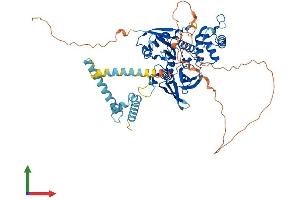 AlphaFold protein structure predicition of Human Recombinant FRMD3 Protein, UniprotID A2A2Y4