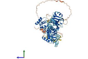 AlphaFold protein structure predicition of Human Recombinant PUS7L Protein, UniprotID Q9H0K6