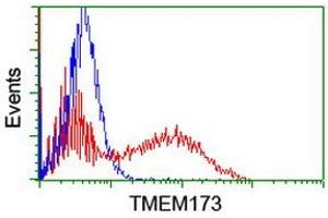 Image no. 2 for anti-Transmembrane Protein 173 (TMEM173) antibody (ABIN1501425) (STING/TMEM173 anticorps)