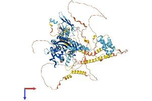 AlphaFold protein structure predicition of Human Recombinant KIF1C Protein, UniprotID O43896