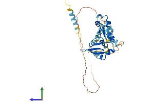 AlphaFold protein structure predicition of Human Recombinant MAGEB2 Protein, UniprotID O15479