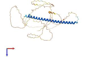 AlphaFold protein structure predicition of Mouse Recombinant Fos Protein, UniprotID P01101