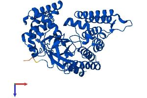 AlphaFold protein structure predicition of Human Recombinant SMYD2 Protein, UniprotID Q9NRG4