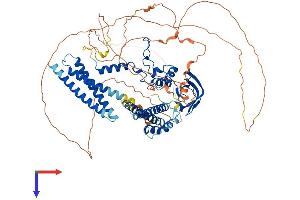 AlphaFold protein structure predicition of Mouse Recombinant Cnot3 Protein, UniprotID Q8K0V4