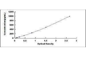 Typical standard curve (IFNA Kit ELISA)