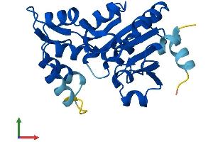AlphaFold protein structure predicition of Mouse Recombinant Psph Protein, UniprotID Q99LS3