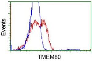 HEK293T cells transfected with either RC202288 overexpress plasmid (Red) or empty vector control plasmid (Blue) were immunostained by anti-TMEM80 antibody (ABIN2453727), and then analyzed by flow cytometry. (TMEM80 anticorps)