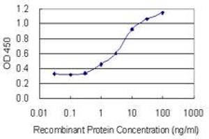 Detection limit for recombinant GST tagged POTED is 0. (POTED anticorps  (AA 485-584))