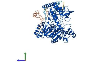 AlphaFold protein structure predicition of Human Recombinant SPTLC2 Protein, UniprotID O15270