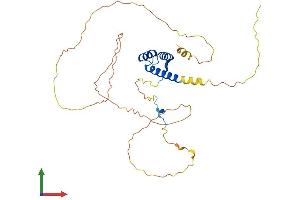 AlphaFold protein structure predicition of Mouse Recombinant Hoxd1 Protein, UniprotID Q01822