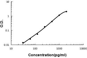 Sandwich ELISA - Recombinant mouse BMP2 protein standard curve. (BMP2 anticorps  (C-Term))