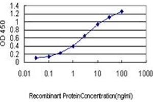 Detection limit for recombinant GST tagged ACOX2 is approximately 0. (Acox2 anticorps  (AA 582-681))