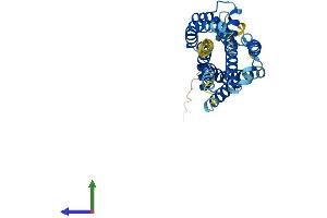 AlphaFold protein structure predicition of Mouse Recombinant P2ry10 Protein, UniprotID Q8BFU7