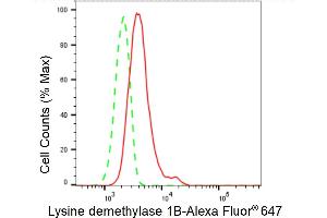 Flow cytometric analysis of Lysine demethylase 1B expression in HepG2 cells using Lysine demethylase 1B antibody (ABIN7799298), 1:2,000). (Recombinant KDM1B anticorps)
