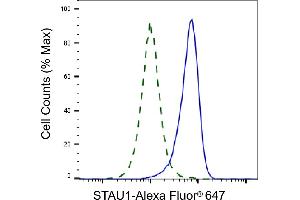 Validation of STAU1 knockdown using flow cytometry. (Recombinant STAU1/Staufen anticorps)