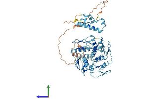 AlphaFold protein structure predicition of Human Recombinant ZIM3 Protein, UniprotID Q96PE6