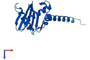 AlphaFold protein structure predicition of Mouse Recombinant Ap1s3 Protein, UniprotID Q7TN05