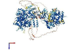 AlphaFold protein structure predicition of Human Recombinant DIP2A Protein, UniprotID Q14689