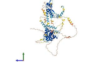 AlphaFold protein structure predicition of Human Recombinant SPIRE2 Protein, UniprotID Q8WWL2