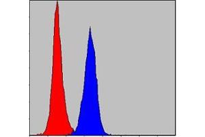 Flow cytometric analysis of NIH/3T3 cells using PRK2 mouse mAb (blue) and negative control (red).