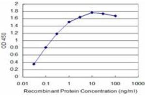 Detection limit for recombinant GST tagged TAOK3 is approximately 0. (TAO Kinase 3 anticorps  (AA 809-898))